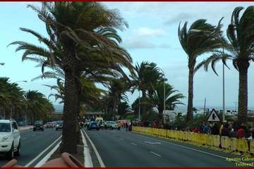 Carreras de caballos en Telde por San Gregorio (Foto TA y TF)